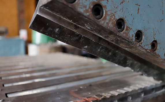 アリゲーターシャー